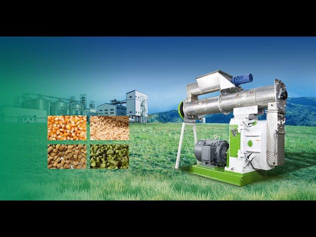 RICHI Poultry Feed Pellet Machine Test Run