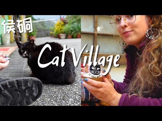 Taiwan can turn ANYTHING into a Tourist Attraction [Houtong, Cat Village]