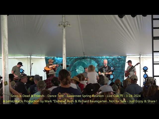 Grass is Dead & Friends - Dance Tent - Suwannee Spring Reunion - Live Oak, Fl   3- 24- 2024