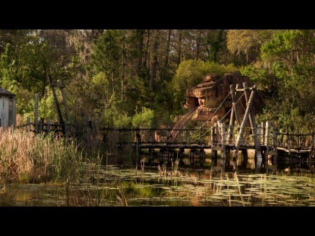 Could Disney's Closed River Country Ride Be Perfect Place for Gators to Thrive?