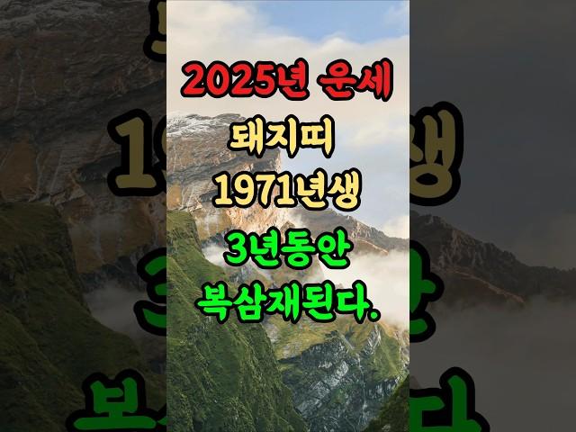[2025년 돼지띠운세] 돼지띠 71년생 3년동안 복삼재된다. #2025년운세 #돼지띠운세