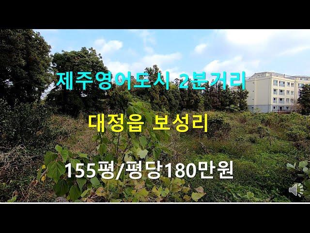 [제주빠빠] 제주영어도시 2분거리 ｜대정읍 보성리 ｜155평 토지매매 ｜ 평당180만원(2억8천) 010-3318-5088