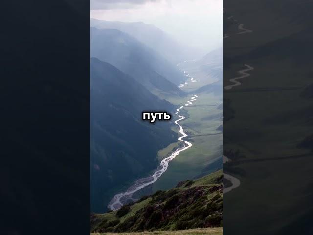 Путь к исцелению #Shorts #truth