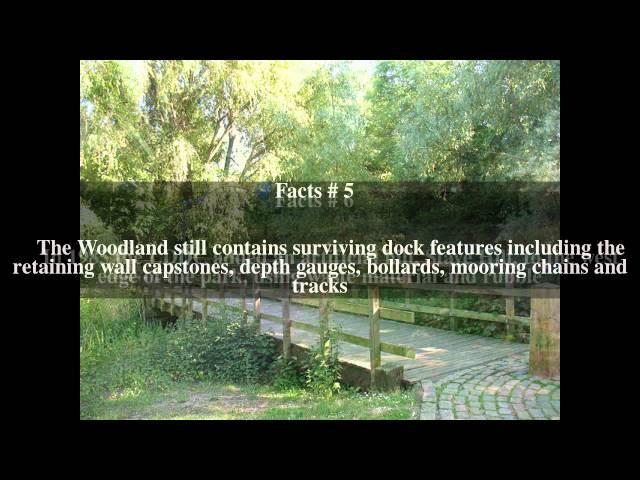 Russia Dock Woodland Top # 10 Facts