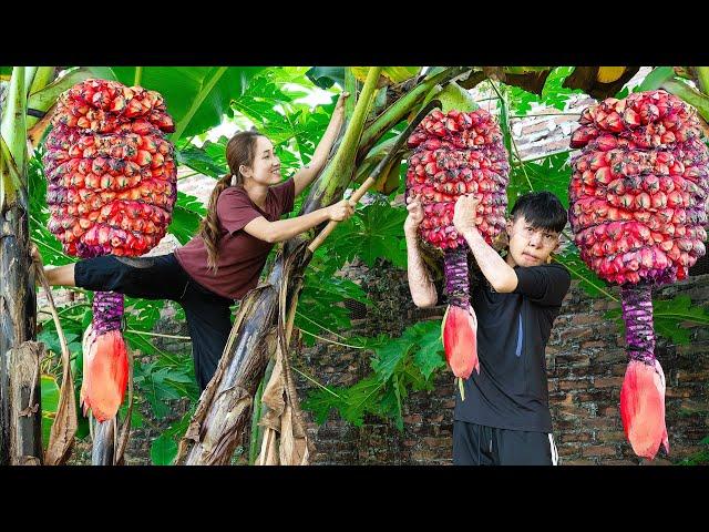 FULL VIDEO :60 DAYS Harvest Mutant Bananas with his disabled younger brother Goes to the market sell