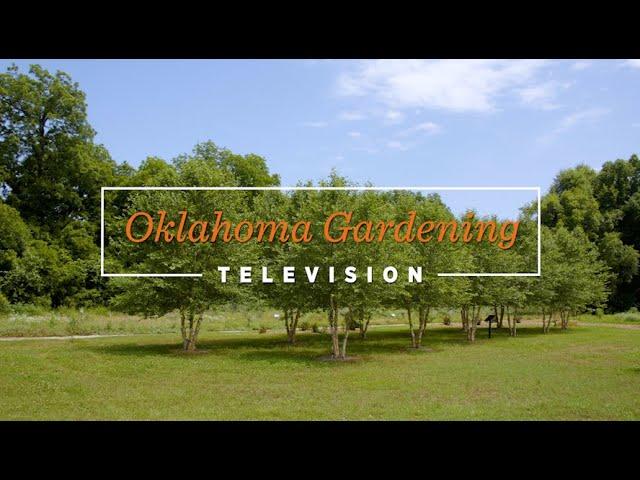 Oklahoma Gardening September 28, 2024