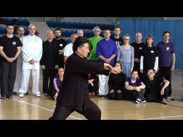 Tai Chi Forms 1 - Chen Xiao  Wang