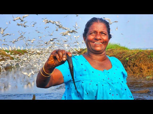 മോട്ടോർ ചളിലിൽ നിന്നും അമ്മയുടെ മീൻ പിടുത്തം |Earth Lovers Media|Real Life Vlog