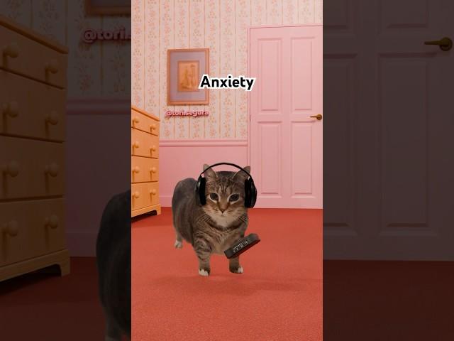 OIIA Cat x Anxiety