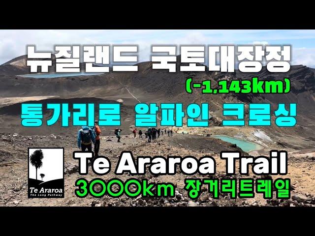 E12: 뉴질랜드 장거리트레일 | 테아라로아 | 통가리로 크로싱•42트래버스 | 42 Traverse to Tongariro(1042-1143km)