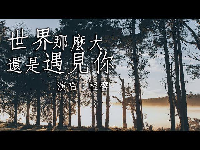 【動態歌詞】世界這麼大還是遇見你(清新的小女孩（中文版）)—程響『世界這麼大還是遇見你 多少次瘋狂多少天真』