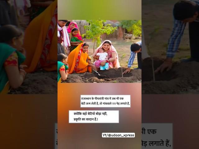 "Rajsthan ke peeplantri gawon me jab bhi yek beti janm leti hai.!" #shorts #shortsfeed #trending