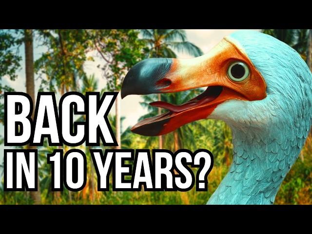 3 Extinct Animals That We Could Bring Back To Life In The Next 10 Years