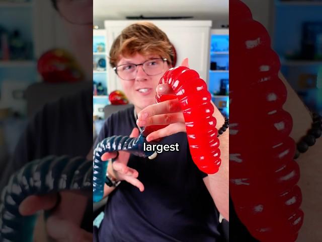 World’s Largest Gummy Worm