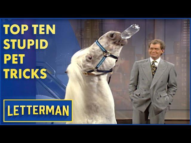 Top Ten Stupid Pet Tricks | Letterman