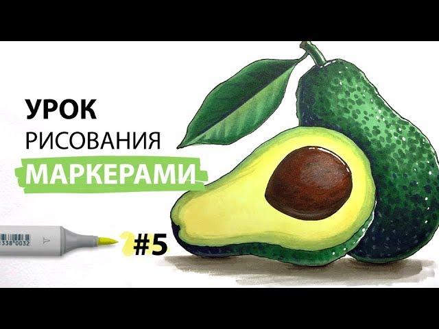 Как нарисовать авокадо? / Урок по рисованию маркерами для новичков #5