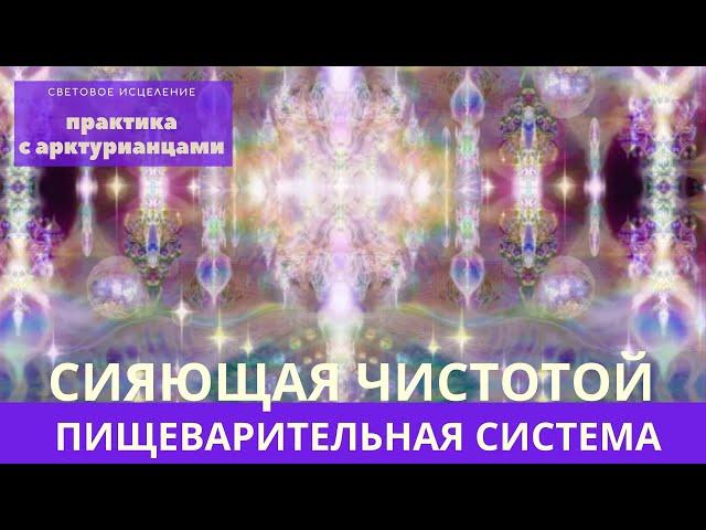 ИСЦЕЛЕНИЕ ПИЩЕВАРИТЕЛЬНОЙ СИСТЕМЫ СВЕТОВЫМИ ЦЕЛИТЕЛЯМИ АРКТУРА. Вступление Лежнева Оксана