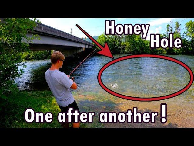 We Found the Honey Hole  (Watauga River)