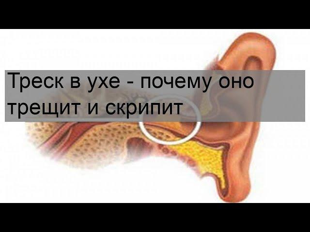Треск в ухе - почему оно трещит и скрипит