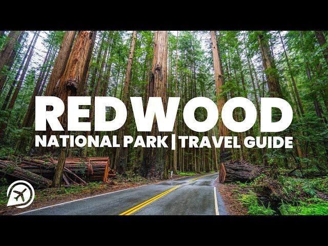 REDWOOD NATIONAL PARK Travel Guide