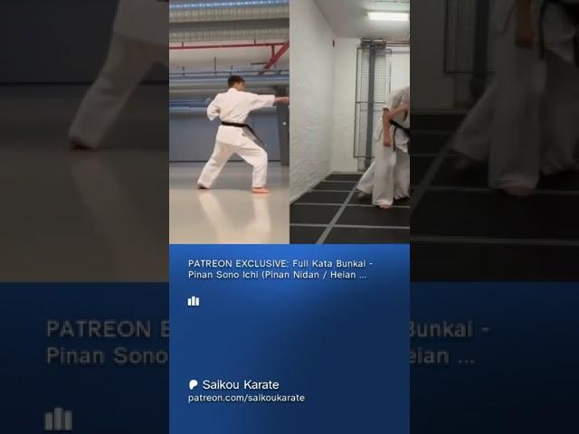 Pinan 1 Full Kata Bunkai Teaser #karate #fighting #patreon #martialarts #technique #tutorial