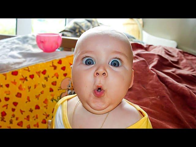 Funny Baby Videos - All Of The Cutest Thing You'll See Today