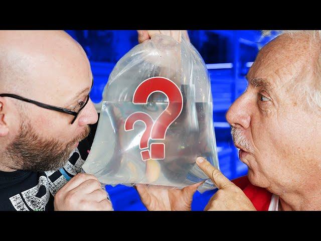 RICHTIG GUTE FISCHE - Aquarium Fisch Unboxing