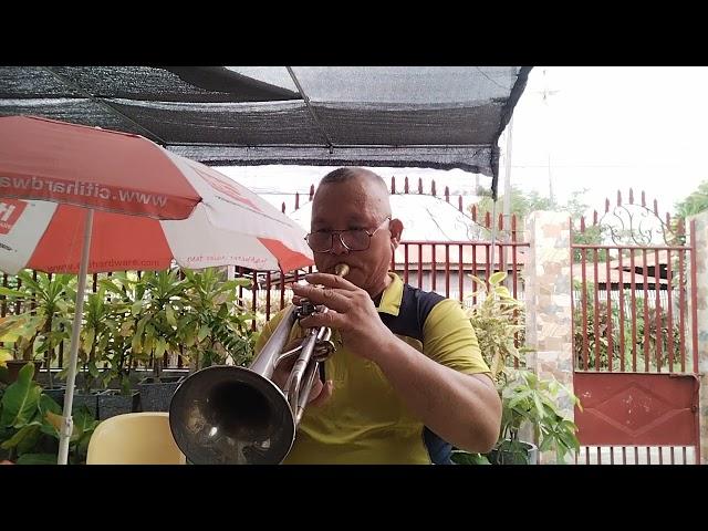 MINSAN LANG KITA IIBIGIN -  Ariel Rivera  (Trumpet) cover