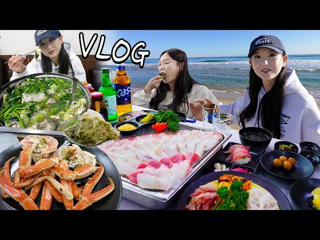 Living in Donghae for a month? Great restaurant with a crazy view!ㅣDojjaebigolㅣHamzy Vlog