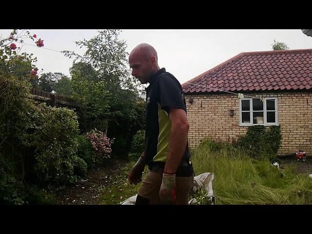 A quick garden tidy up