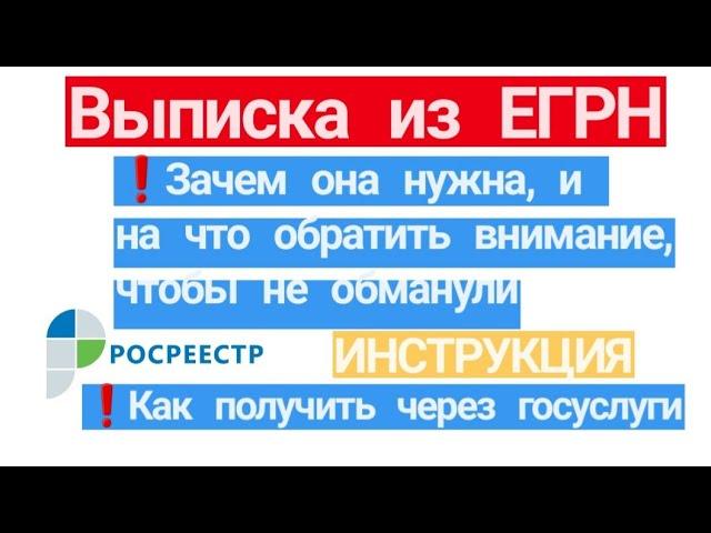 Выписка из ЕГРН. Зачем она нужна и на что обратить внимание. Как получить выписку через госуслуги