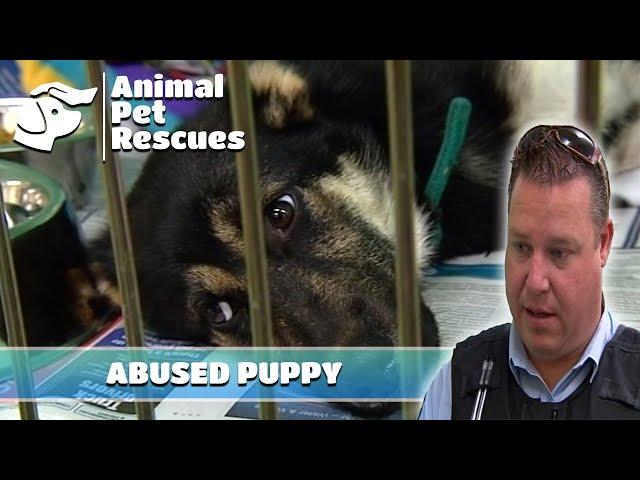 The SPCA Battles to Save this Neglected Puppy | Mini Episode | Animal House