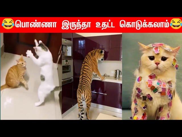 #Funny mind voice #animals mind voice #watch till end