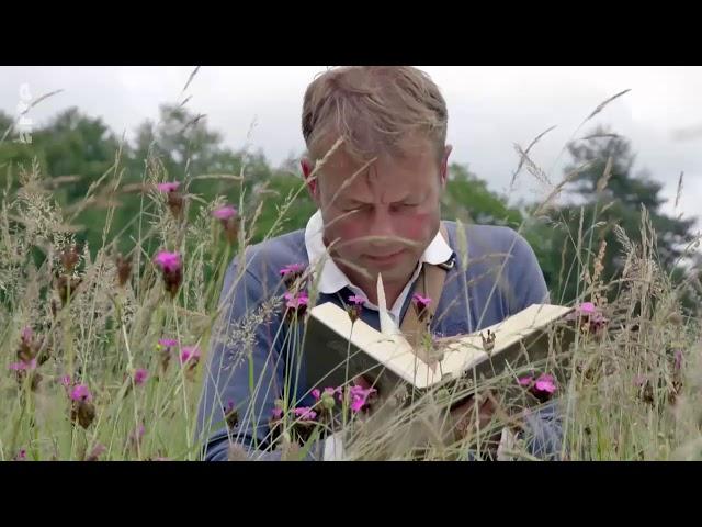 Geheimnisvolle Wildblumen: Feld- und Wiesenblumen Doku (2018)