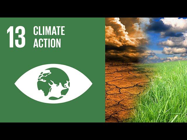 UN Sustainable Development Goals | Climate Action (13)