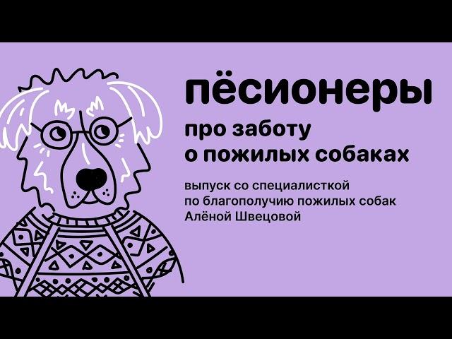 Пёсионеры. Выпуск про заботу о пожилых собаках