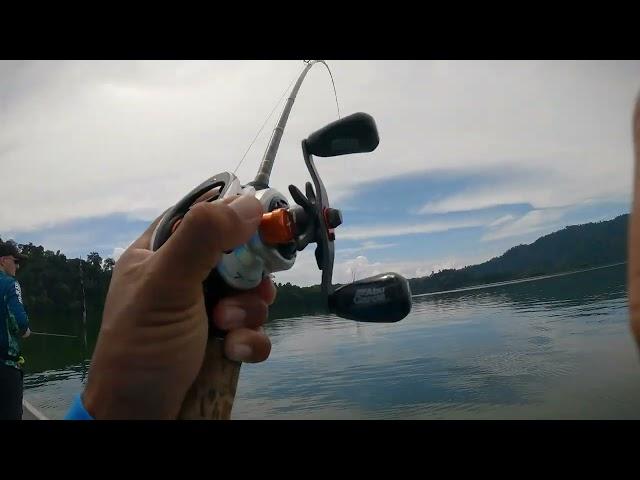 Fishing Snakehead Hampala Barb Temenggor Malaysia Day 1 (December 2024)