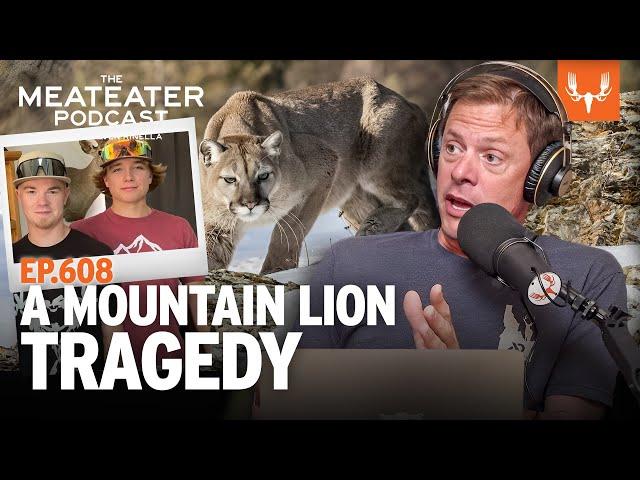 A Mountain Lion Tragedy | MeatEater Podcast