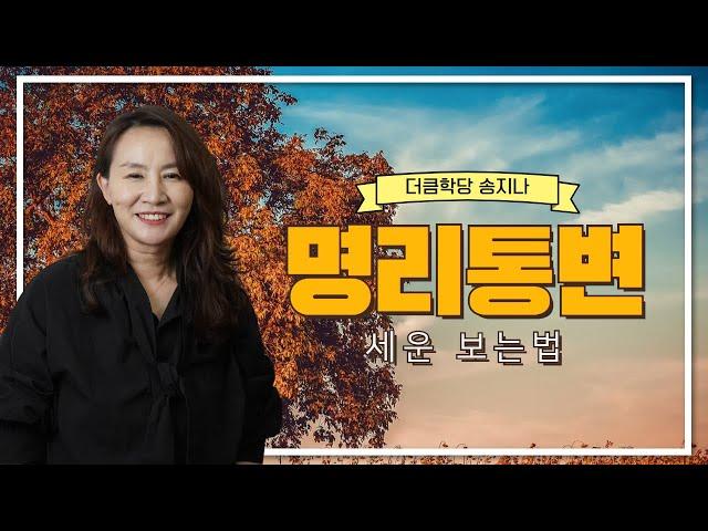 세운 보는법 | 명리학 강의 | 더큼학당 학장