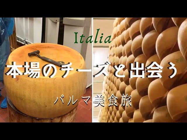 本場のパルミジャーノ・パルマ散歩【イタリア在住】