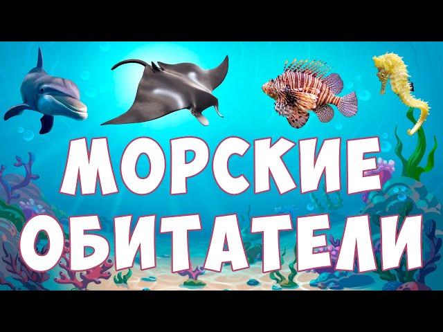 Морские животные для детей | Обитатели морей и океанов | развивающее видео для малышей