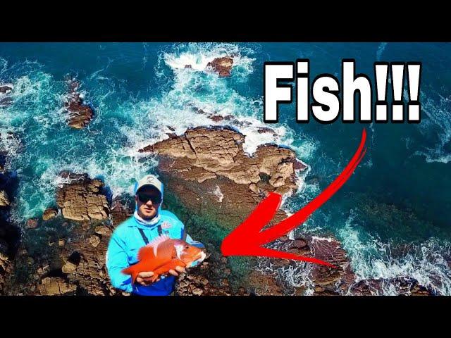 FISHiNG for RED ROMAN on a BEAUTIFUL STRETCH OF COASTLINE! WINTER FISHING FOR EDIBLE FISH!