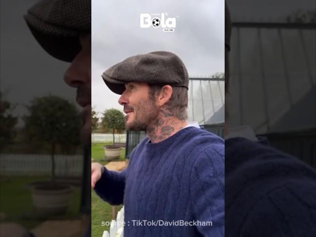 DAVID BECKHAM TERNAK AYAM  #football #shorts #davidbeckham #beckham #chicken #bola