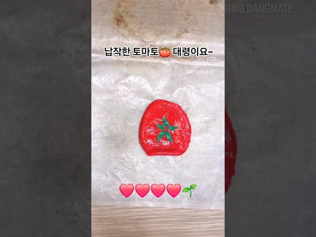 플라스틱 병뚜껑으로 만드는 토마토 #쇼츠