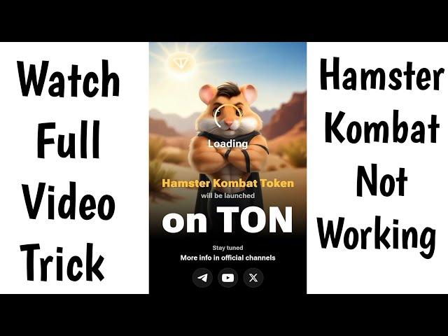 hamster kombat not working | hamster kombat not opening | hamster kombat not open