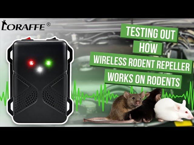 Testing out how Loraffe ZN-509 battery operated under hood rodent repellent works on rodents