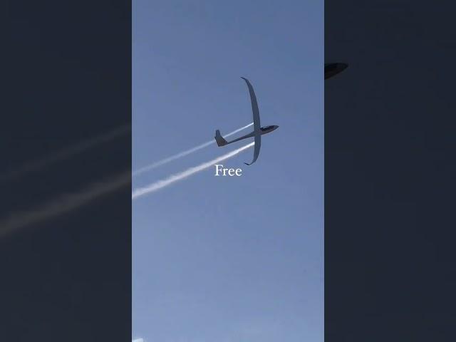 Flying Free Like a Bird | Peaceful Glider Flight in the Sky