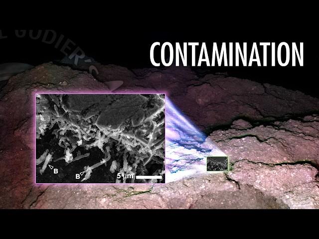 Rapid Colonization on Asteroid Ryugu Sample with Dr. Matthew Genge