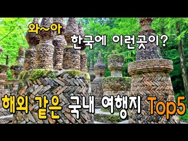 Top 6 The  most beautiful and mysterious forest in South Korea  & Relaxing Music