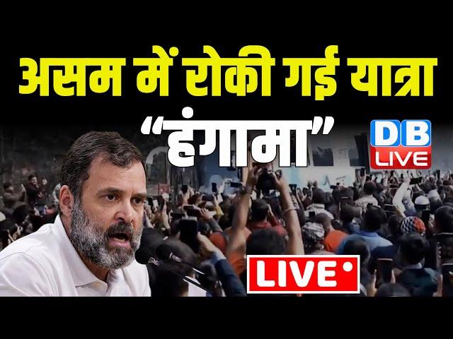 असम में रोकी गई यात्रा ,हंगामा | Rahul Gandhi Bharat Jodo Nyay Yatra Latest News #dblive